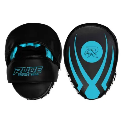 Black professional boxing gloves